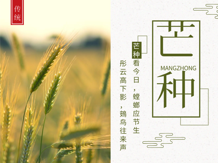 今日芒種，忙有所獲，不負(fù)耕耘！