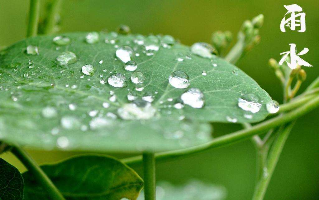 雨水潤(rùn)萬物，兼顧沙與泥！